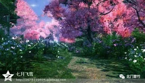 小猫钓鱼正版下载中文版